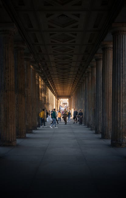 DentCAM Free History: Transformative Pathway to Dental Visualization | DentIIT screenshot