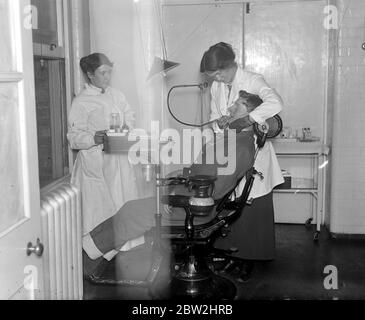 HospitalRun Dental, how to recover a project HospitalRun Dental, data protection checklist with encryption and repositories