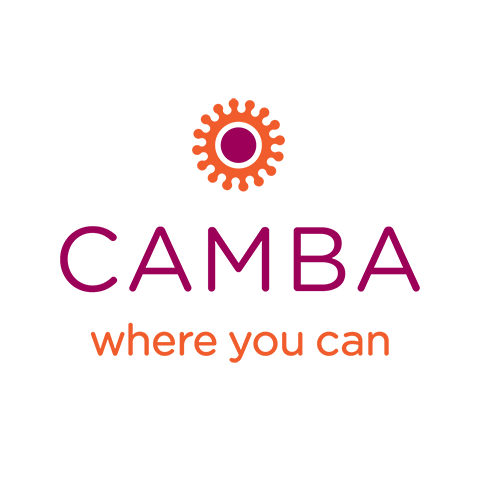 CamBA, why does it fail CamBA, restore testing plan for critical clinic files